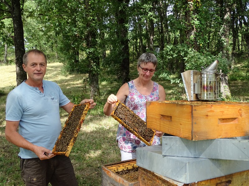 Miel de fleurs récolte d'été non chauffé 1kg direct apiculteur