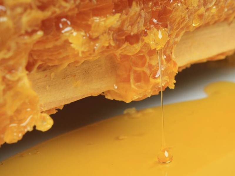 Miel de printemps en pot de 250g. Vente directe Tigoo-Miel